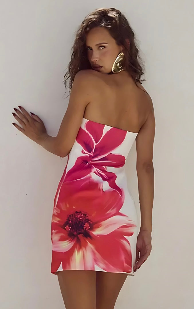 Print Mini Dress